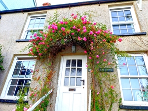 thecottageaberdovey.com