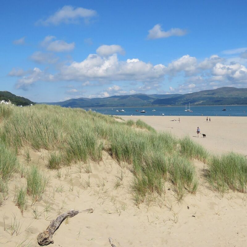 Stunning beach with sand dunes